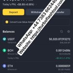 Bitcoin fake transaction, Flash BTC USDT software