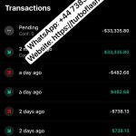 BTC flashing software, Bitcoin flash tool